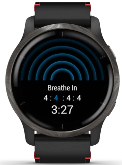 Garmin Watch Venu 2 Slate 16 Garmin Watch Venu 2 Slate -Boutique Fashion Accessories Store GarminWatchVenu2Slate010 02430 215