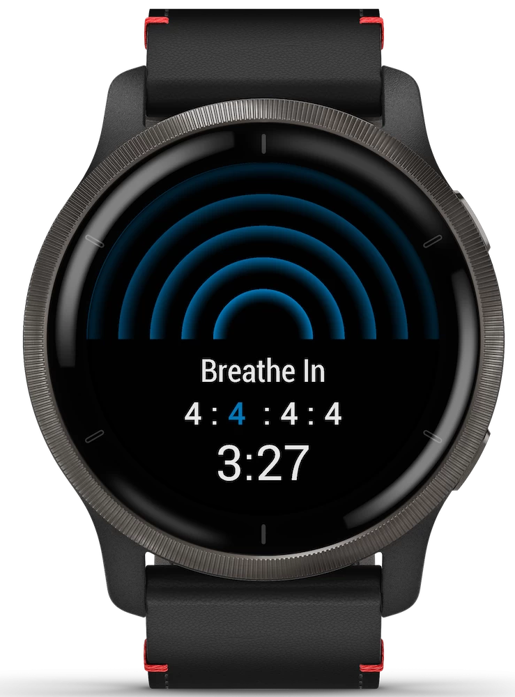 Garmin Watch Venu 2 Slate 7 Garmin Watch Venu 2 Slate - Image 7