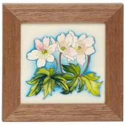 Moorcroft Wildflower Medley Wood Anemone Plaque