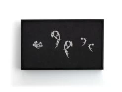 Shaun Leane Iconic Cherry Blossom Sterling Silver Box Set